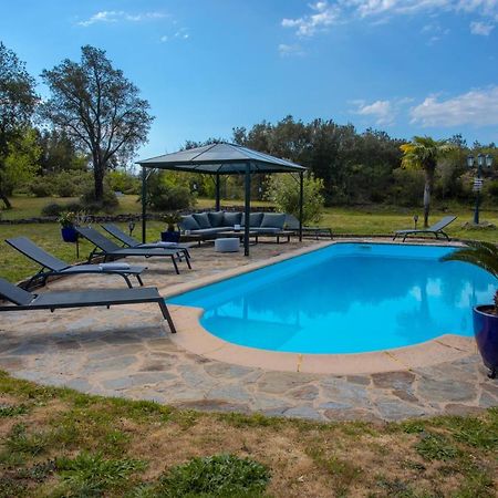 Villa Catalpa Avec Piscine Le Muy Kültér fotó